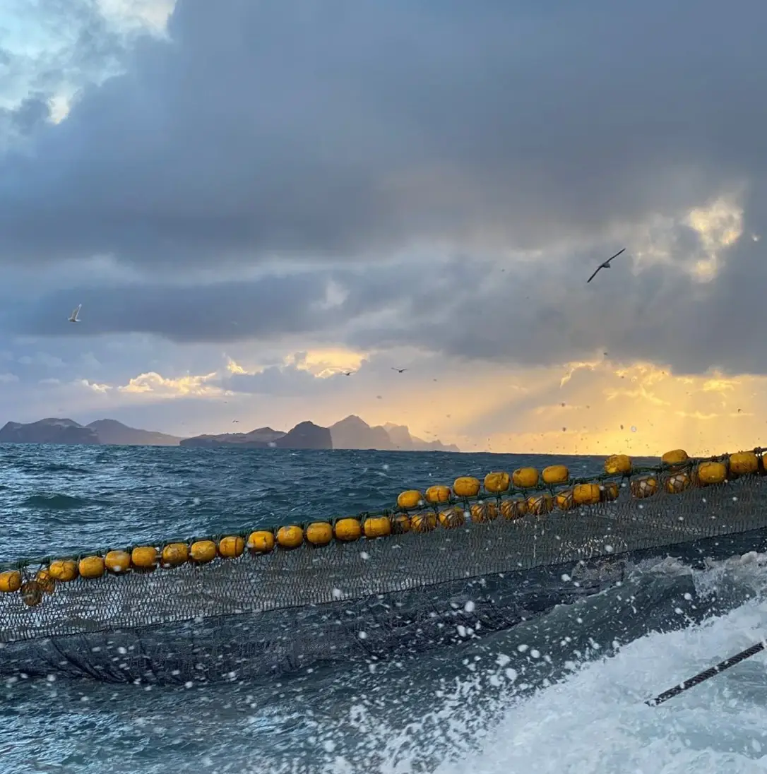 HD heavy industry website design